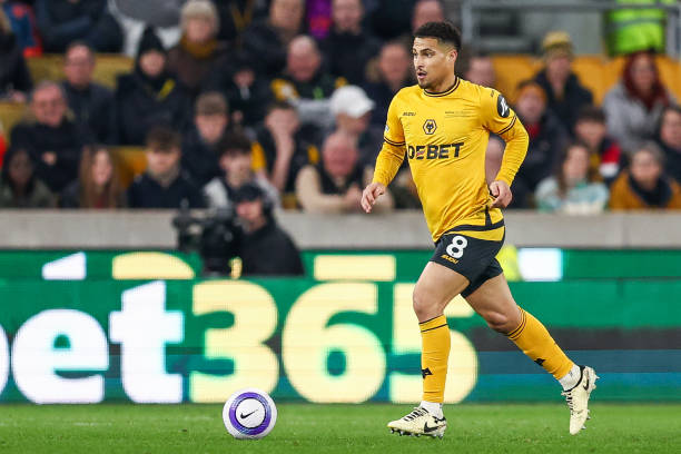 冷门选手的 冷门选手的